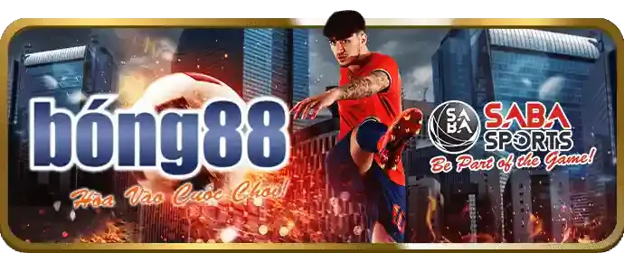 Quy tắc đặt cược tại ae888 nhà cái